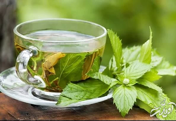 با این دمنوشها سیستم تنفسی خود را تقویت کنید